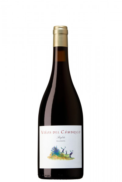 Viñas del Cámbrico, Villanueva 2022 Bio