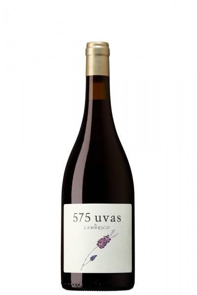 Viñas del Cámbrico, 575 Uvas 2023 Bio