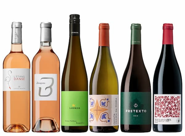Probierpaket Sommerbox