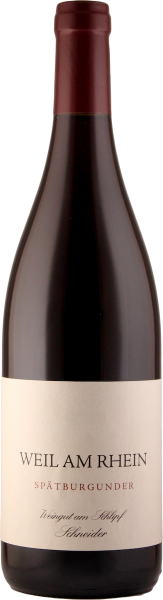 Weingut am Schlipf - Schneider, Weil am Rhein Spätburgunder 2023 Bio