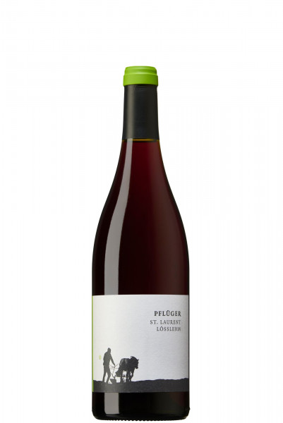 Pflüger, St. Laurent vom Lösslehm Gutswein 2023 Bio